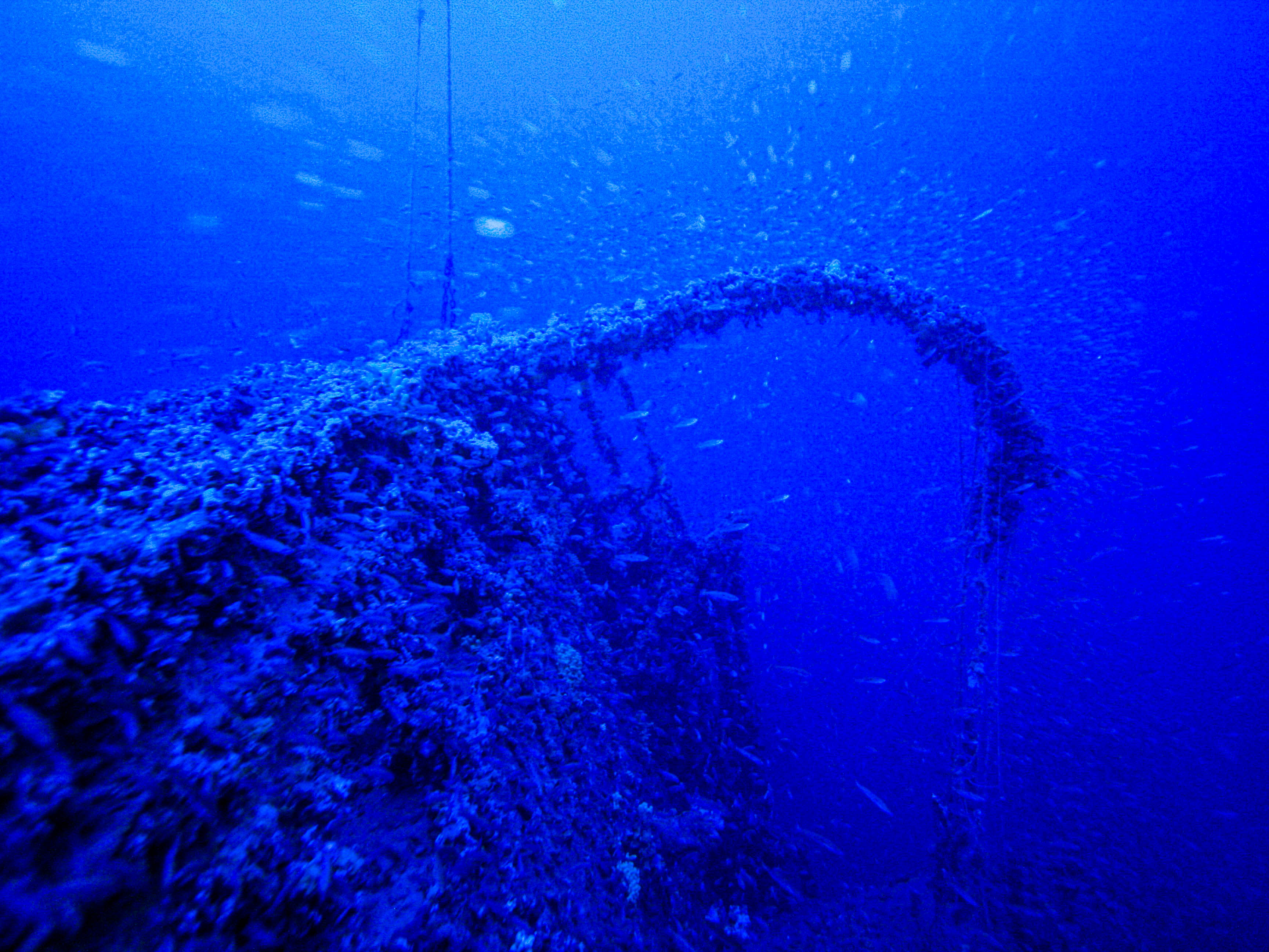 Relitto TIRPITZ